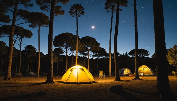 Camping à perpignan : votre escapade 4 étoiles en pleine nature !